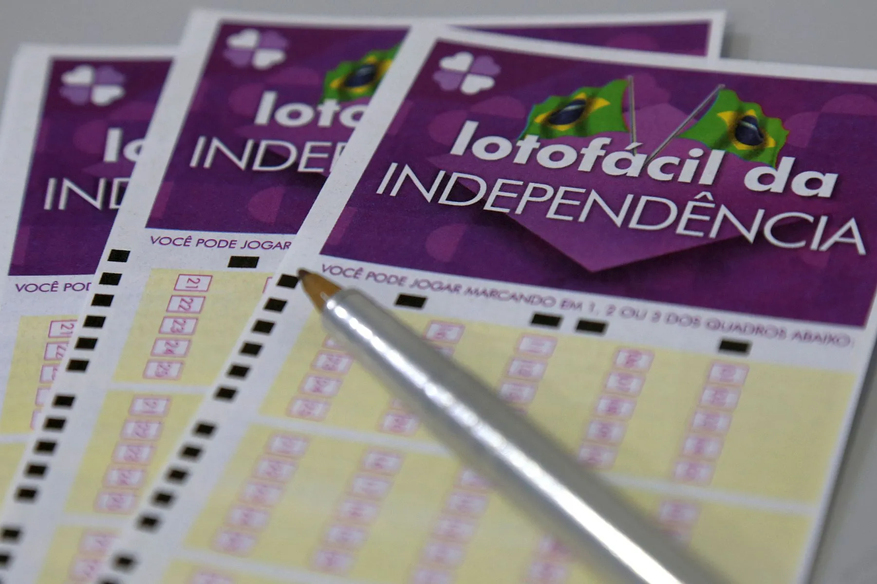 Resultado Lotofácil da Independência: prêmio é de R$ 300 milhões