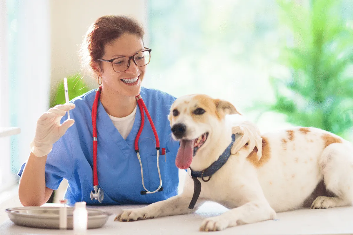 Raiva é uma doença grave: veja como identificar sinais nos animais e prevenir