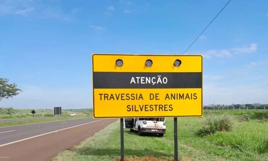 A imagem mostra uma rodovia com a placa escrito: "Atenção, travessia de animais silvestres".