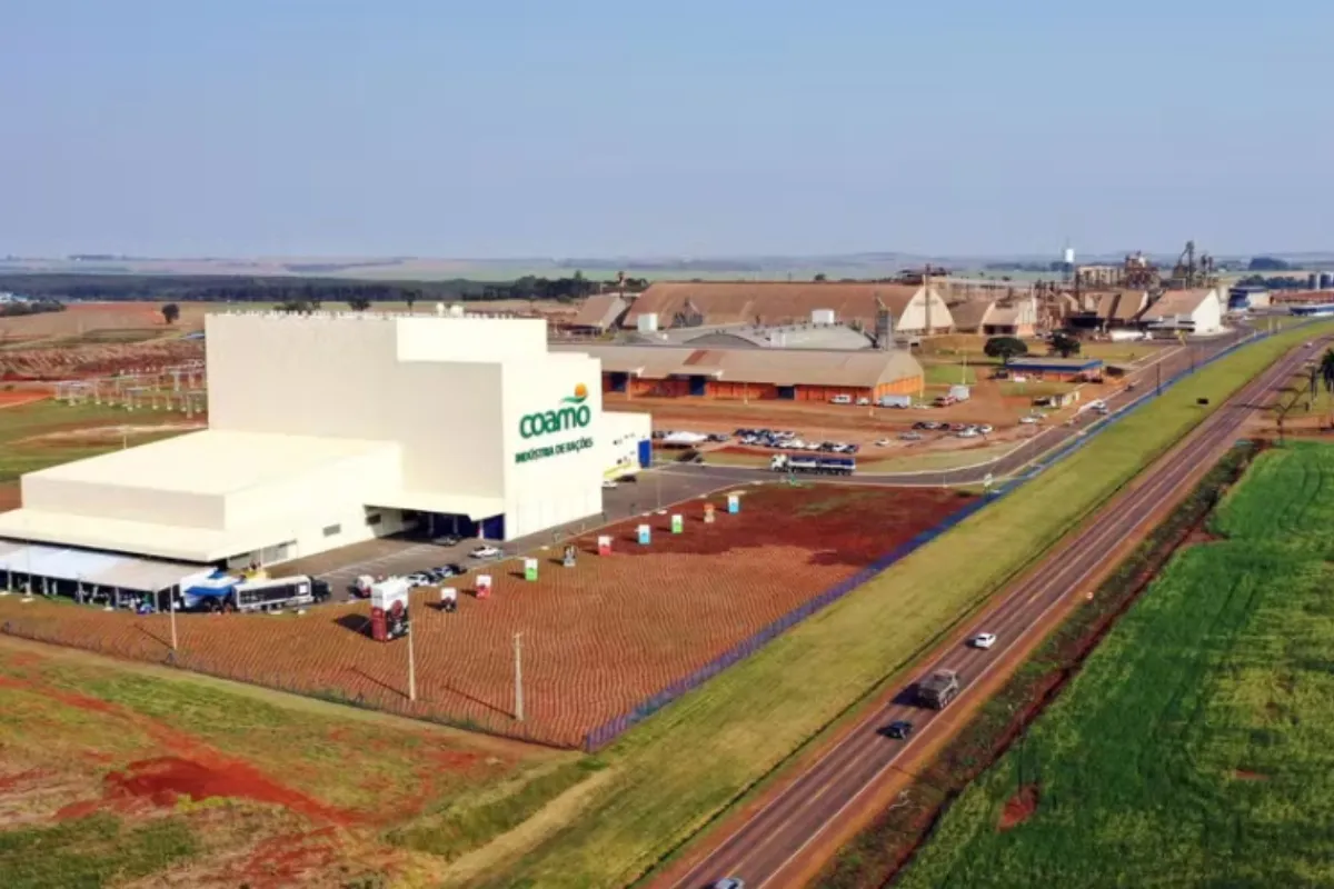 Cooperativas paranaenses ganham espaço entre as maiores empresas do Brasil