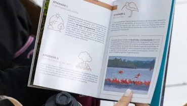 A imagem mostra uma mão feminina segurando um livro aberto com imagens de aves vermelhas e sugestões de atividades para sala de aula.
