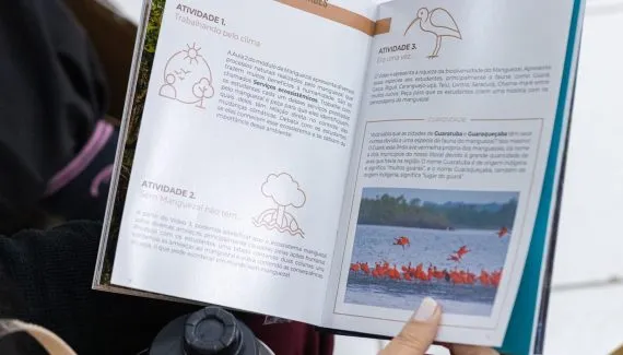 Curso gratuito em cultura oceânica oferta material pedagógico para crianças e adultos