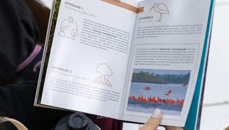 Curso gratuito em cultura oceânica oferta material pedagógico para crianças e adultos