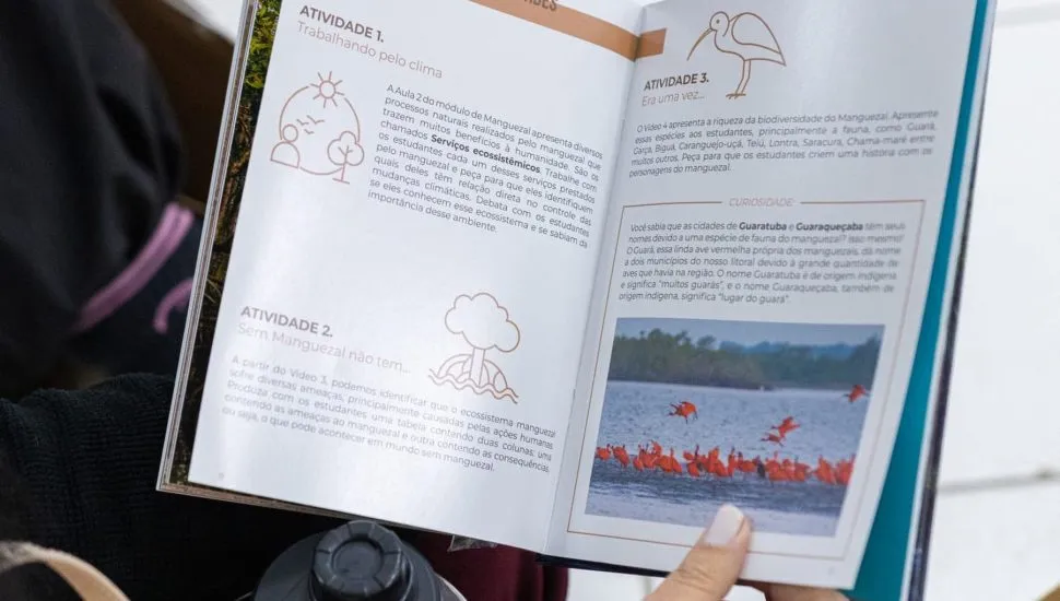 A imagem mostra uma mão feminina segurando um livro aberto com imagens de aves vermelhas e sugestões de atividades para sala de aula.