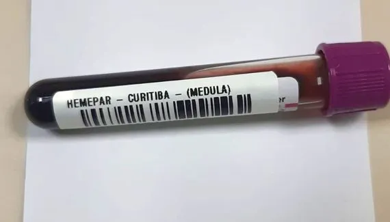 Saiba como ser um doador de medula óssea no Paraná