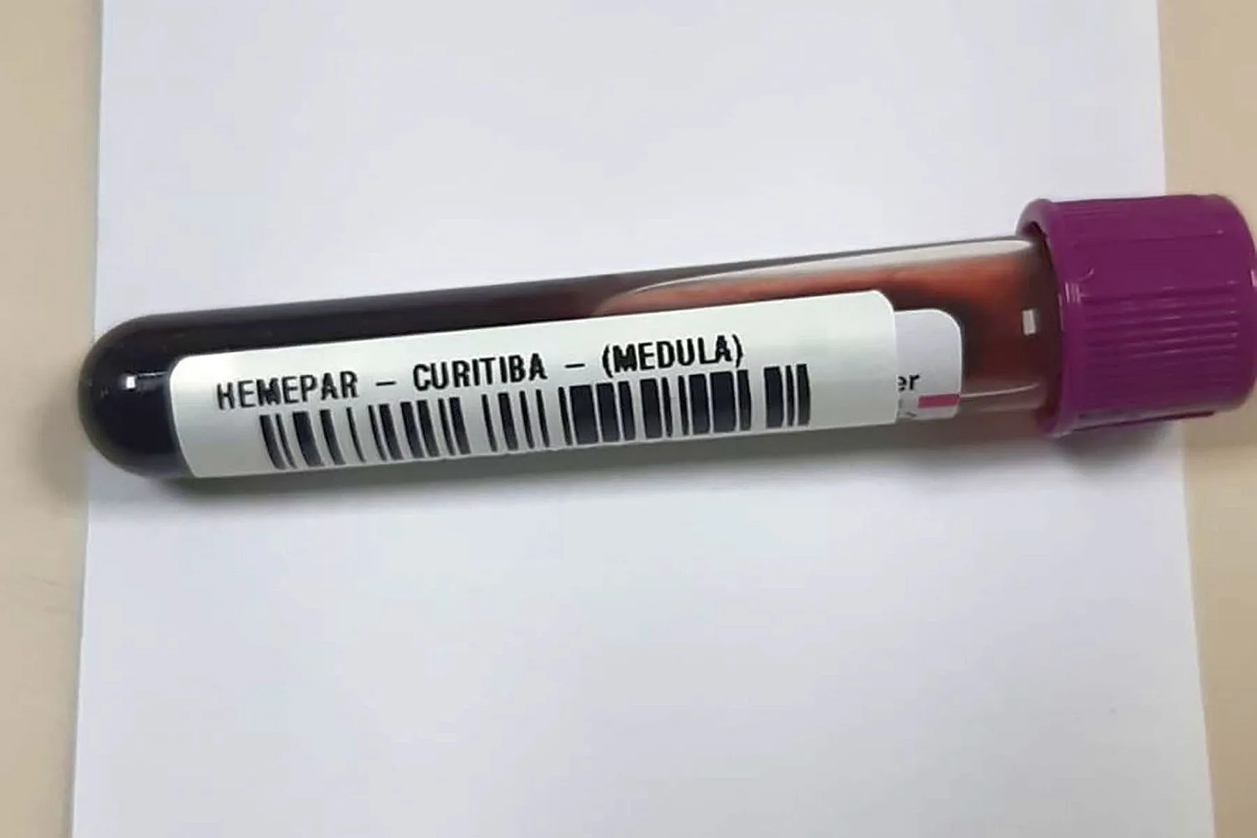 Saiba como ser um doador de medula óssea no Paraná