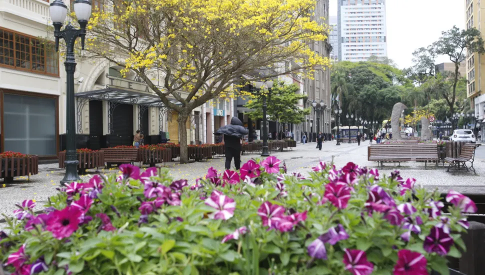 Fotografia em enquadramento amplo com plano geral de um calçadão urbano arborizado e florido sob céu nublado. Em primeiro plano, no canto inferior, destaca-se um canteiro farto de petúnias em tons de roxo, rosa e branco, levemente desfocado. No plano intermediário, no centro-esquerda, sobressai uma grande árvore de ipê-amarelo florida diante da fachada de um prédio histórico. No calçadão pavimentado com pedras portuguesas, pedestres vestidos com agasalhos caminham entre postes de iluminação retrô no estilo poste de luz a gás, floreiras e bancos de madeira dispostos ao longo do passeio. Ao fundo, a vista do calçadão estende-se em direção a edifícios modernos e árvores altas sob iluminação diurna difusa.