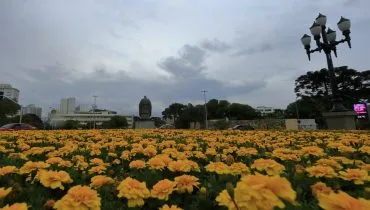 imagem mostra canteiro de flores e céu nublado em Curitiba
