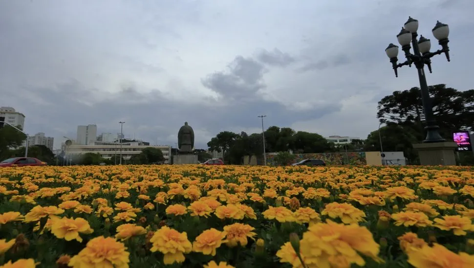 imagem mostra canteiro de flores e céu nublado em Curitiba