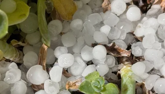 Granizo e chuva forte atingem bairros de Curitiba nesta segunda-feira