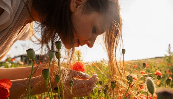 O que é o equinócio da primavera? Entenda o fenômeno e aprenda rituais simbólicos 