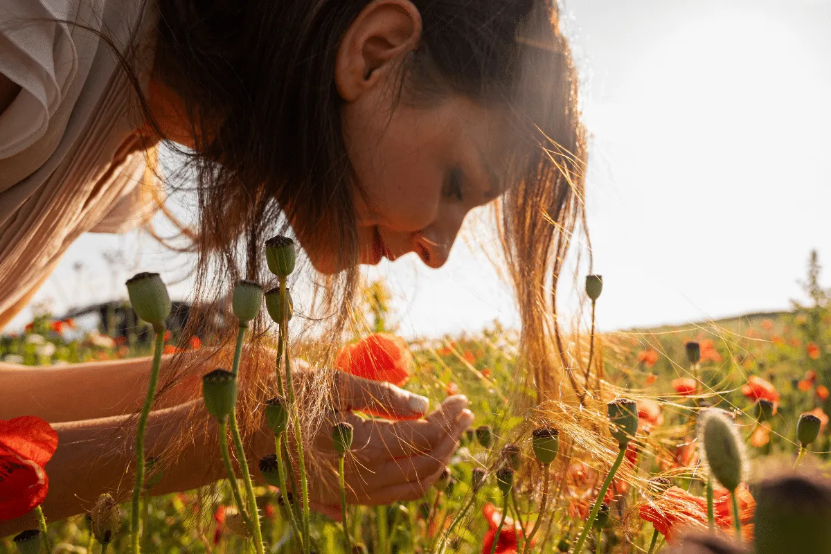 O que é o equinócio da primavera? Entenda o fenômeno e aprenda rituais simbólicos