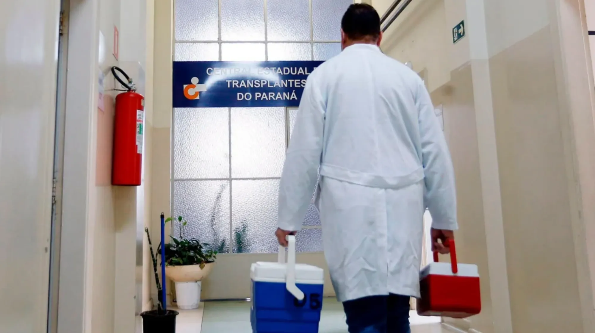 Doação de órgãos: acolhimento no luto transforma dor em esperança em Curitiba