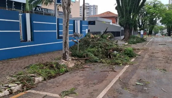 Paraná enfrenta mais de 24 horas de apagão após temporal que derrubou 282 postes