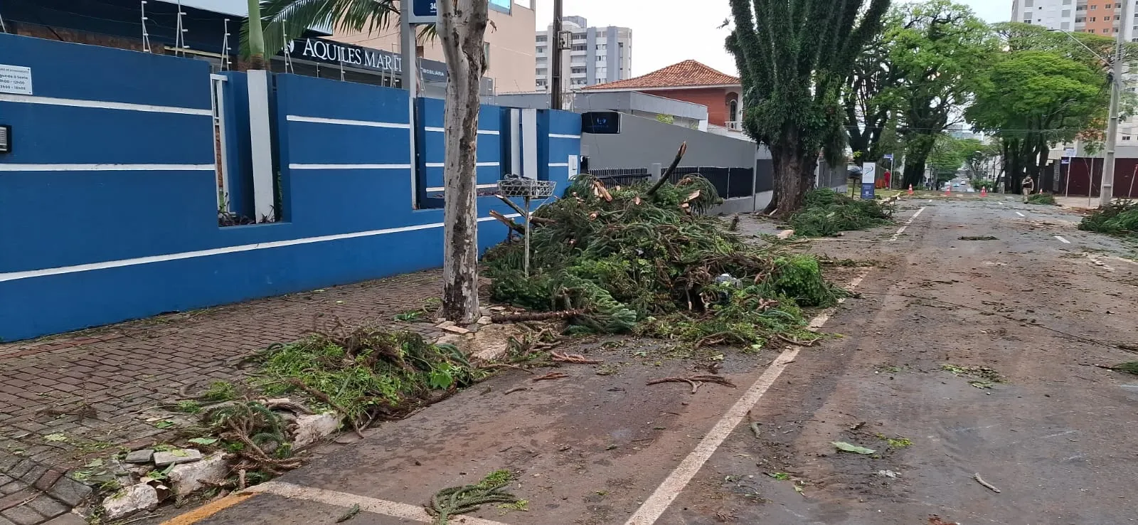 Paraná enfrenta mais de 24 horas de apagão após temporal que derrubou 282 postes
