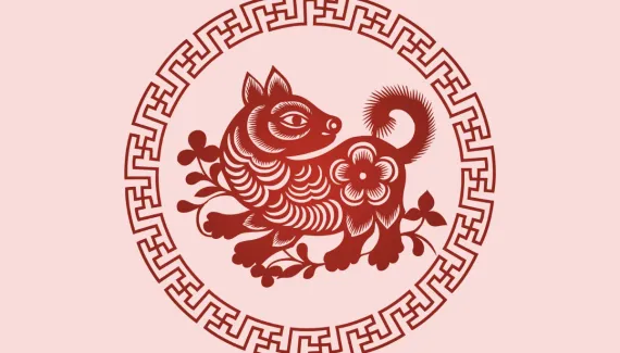 Signo do Cachorro no Horóscopo Chinês: conheça a personalidade e as principais características