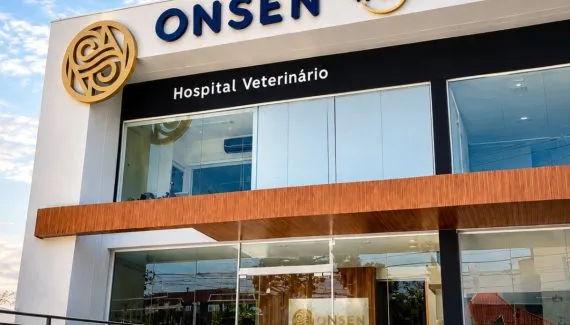 Rede de saúde animal chega a Curitiba com hospital próprio e planos a partir de R$ 99