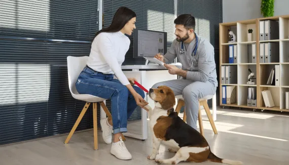 Pet idoso: 7 perguntas para fazer ao veterinário antes de mudar a alimentação