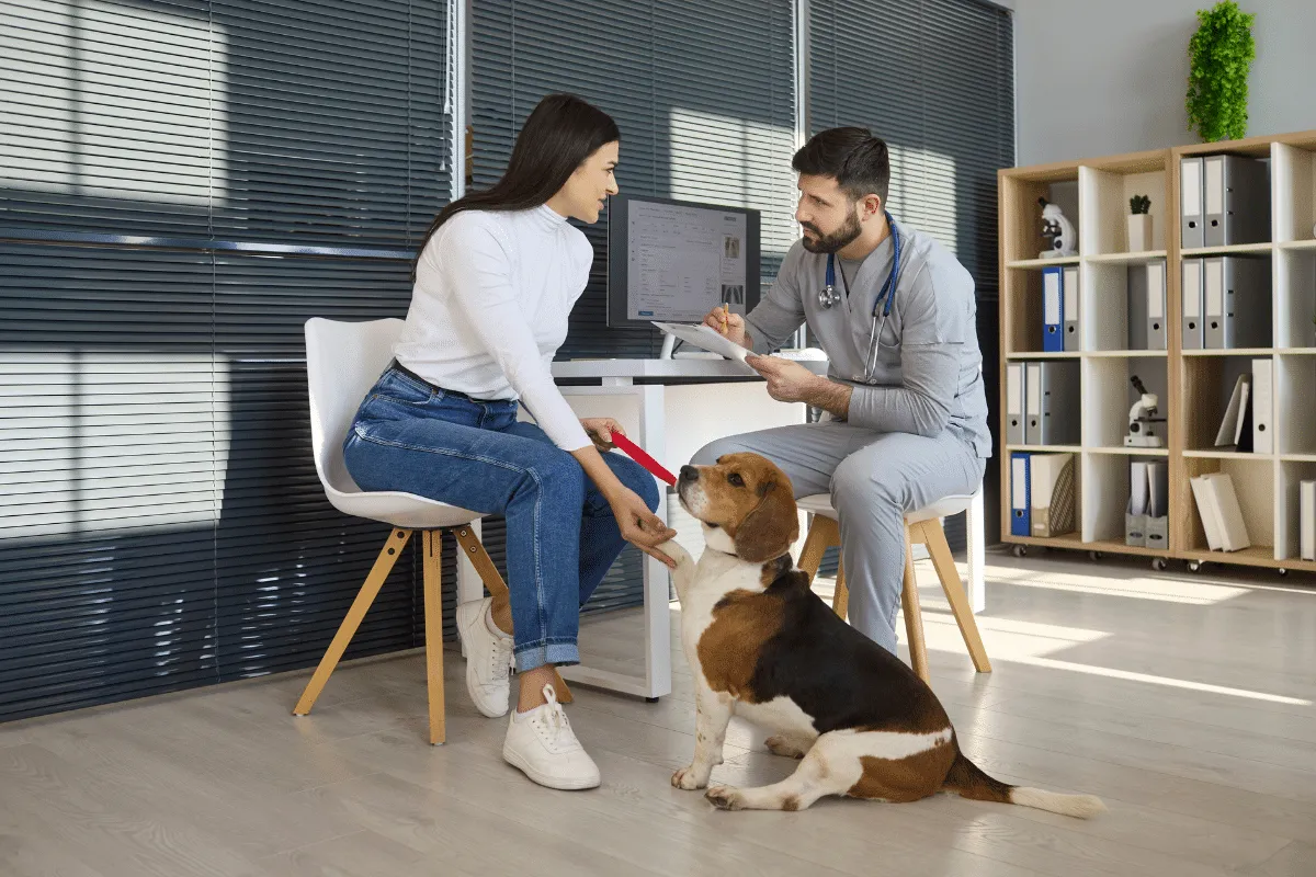 Pet idoso: 7 perguntas para fazer ao veterinário antes de mudar a alimentação