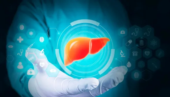 Gordura no fígado: entenda a relação com diabetes, colesterol e saúde cardiovascular