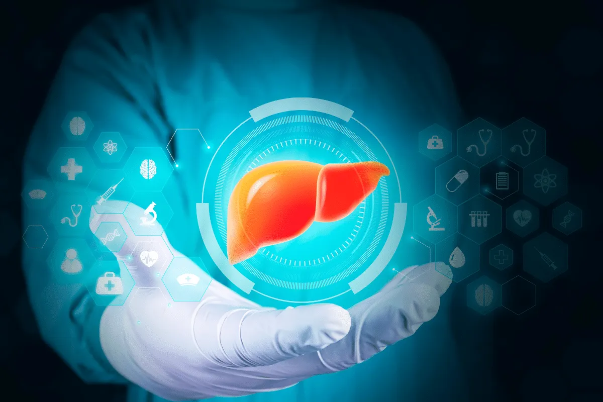 Gordura no fígado: entenda a relação com diabetes, colesterol e saúde cardiovascular