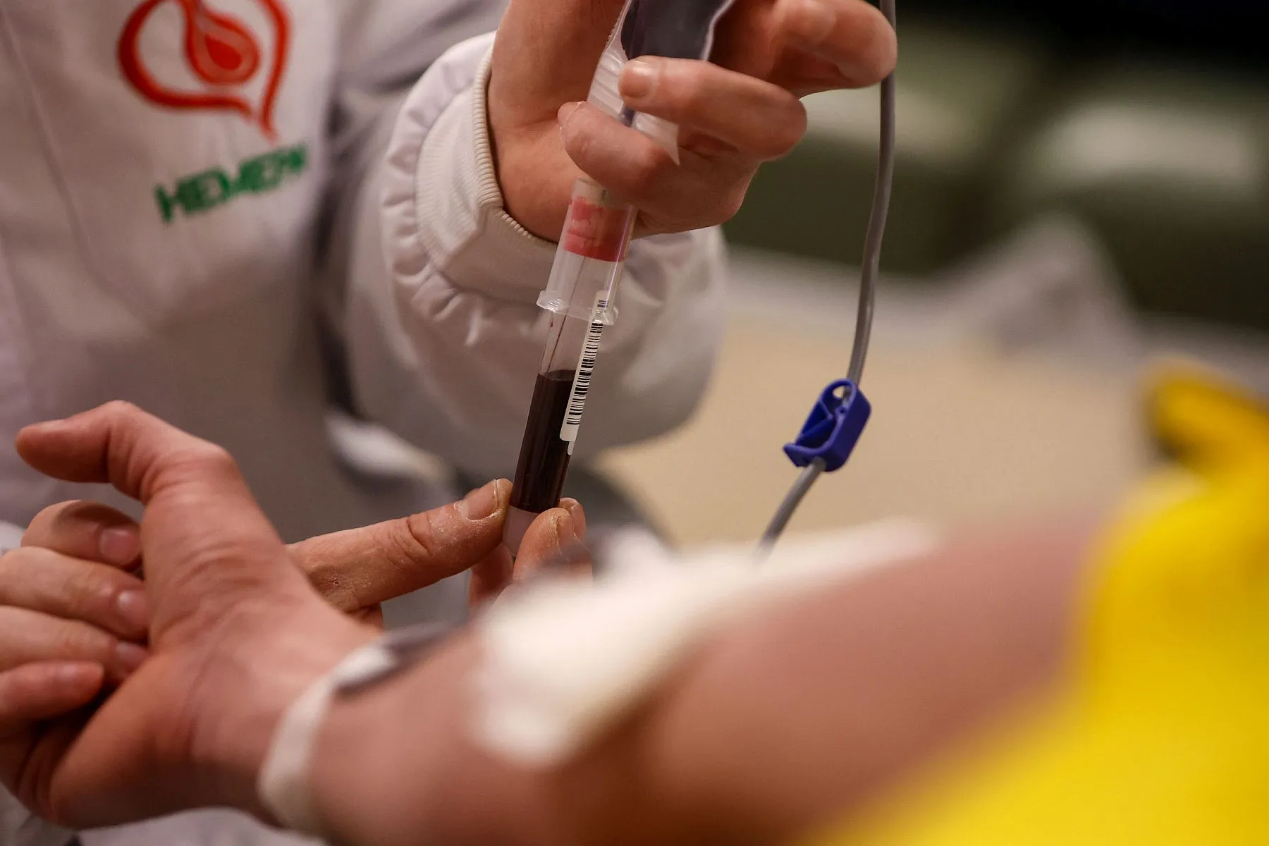 Regras para doar sangue mudam no Paraná: saiba novos critérios e procedimentos