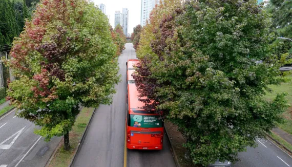 Após suspensão, TCE-PR libera licitação para obras do BRT Leste-Oeste em Curitiba