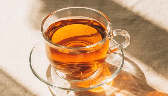 O que é rooibos e para que serve? Conheça a bebida que é fonte de antioxidantes