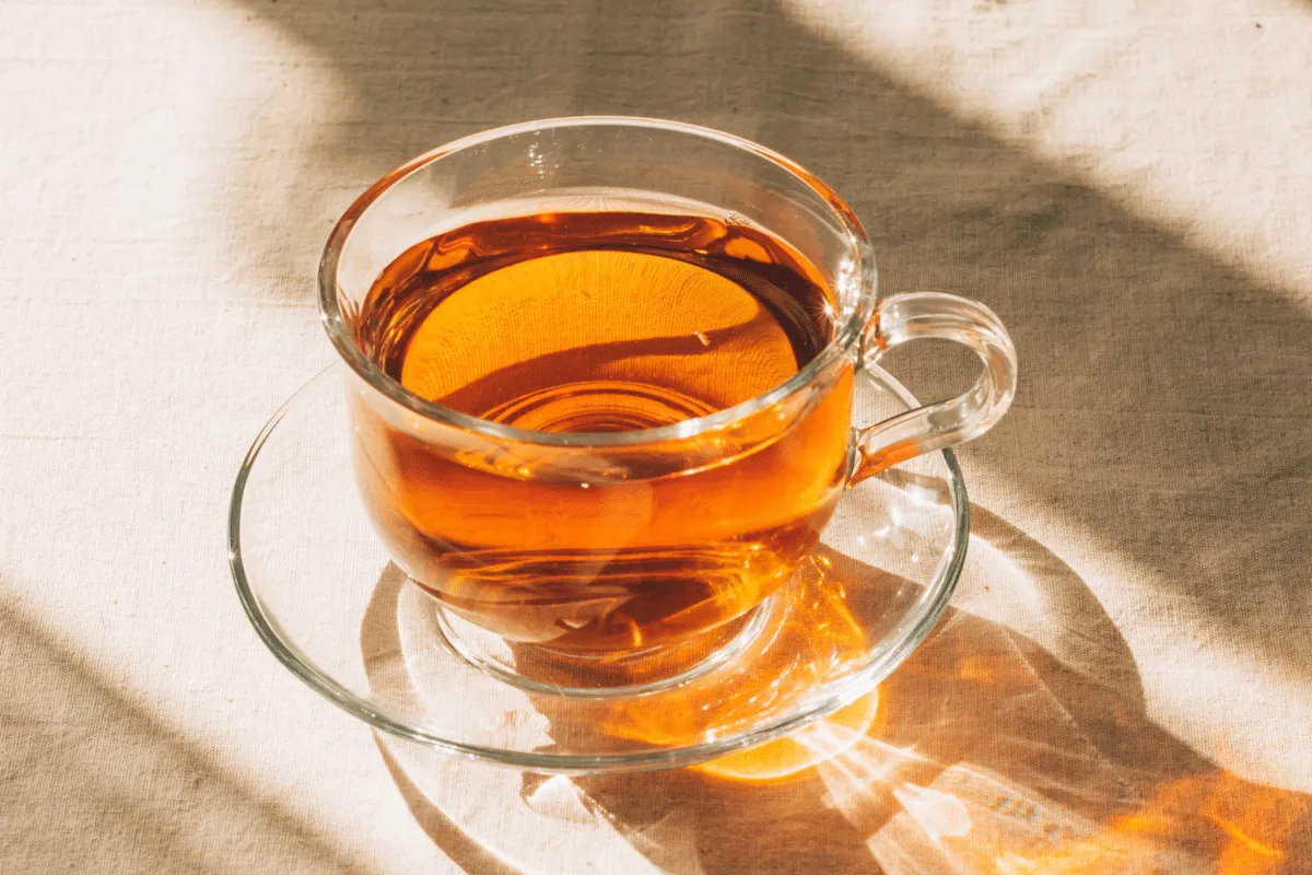 O que é rooibos e para que serve? Conheça a bebida que é fonte de antioxidantes