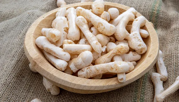Quer um lanche da tarde leve? Aprenda essa receita fácil de biscoito de polvilho