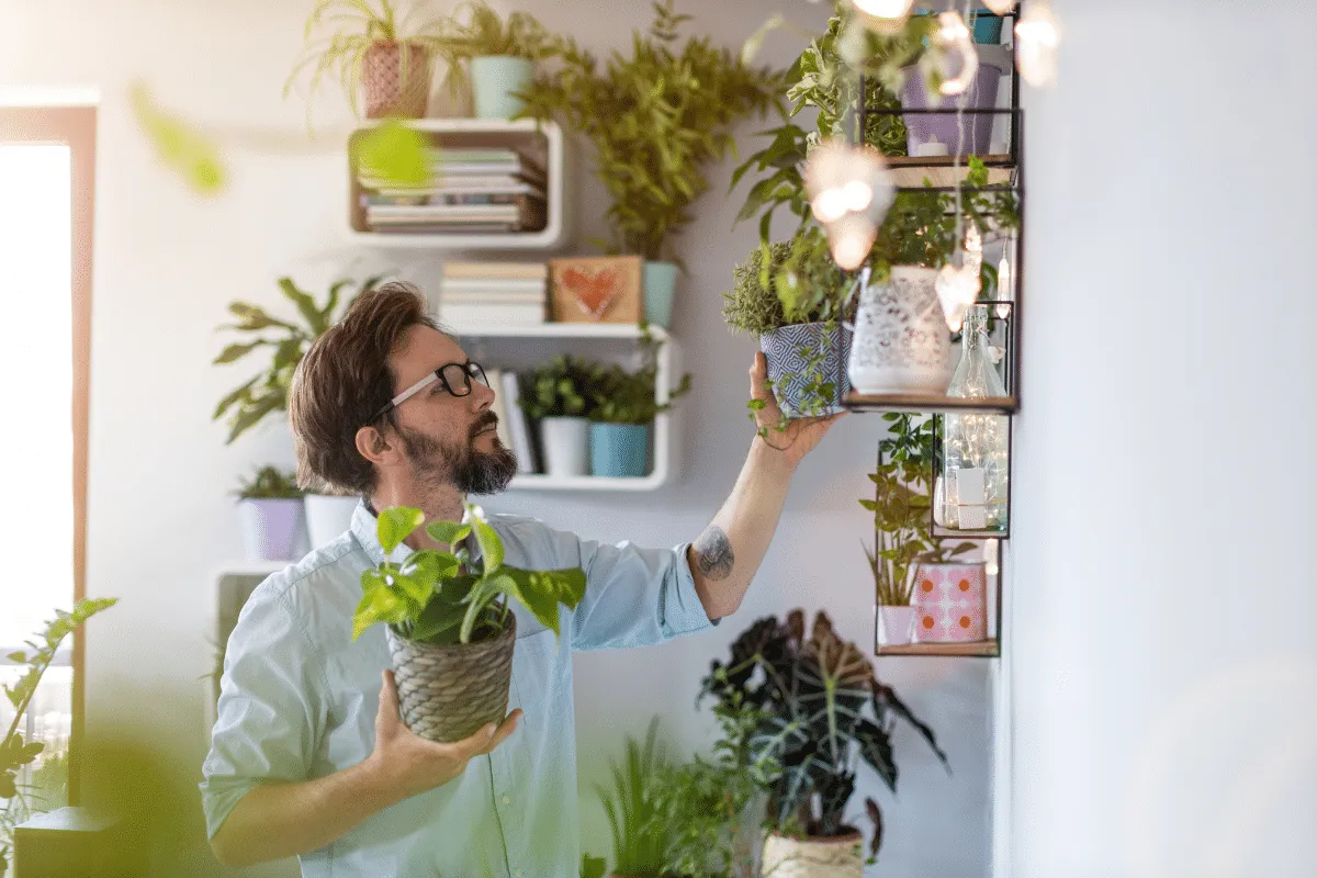 Quer renovar as energias da casa? Conheça 7 plantas associadas à proteção e à prosperidade