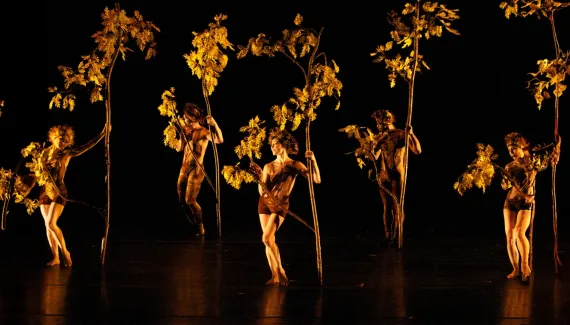 MOMIX, Hilda Hilst e curso de Direito Internacional: o que fazer em Curitiba nesta terça