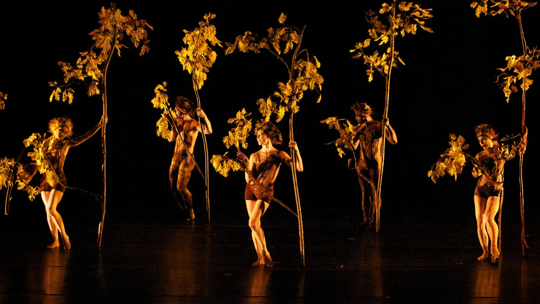 MOMIX, Hilda Hilst e curso de Direito Internacional: o que fazer em Curitiba nesta terça (6)