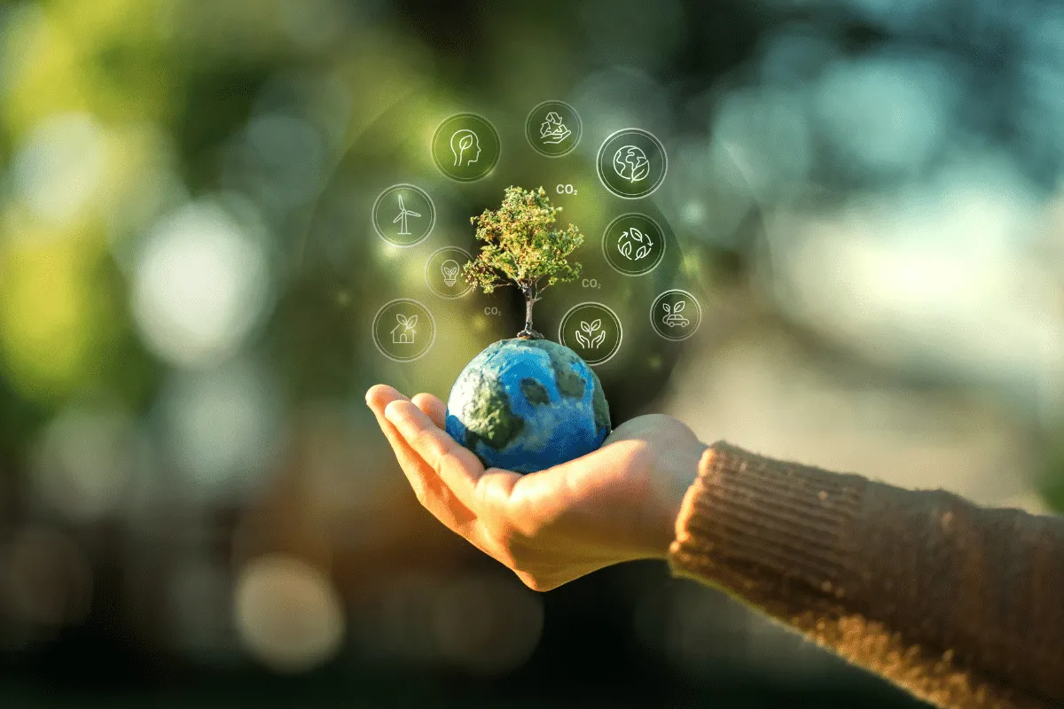 6 atitudes para viver com mais conforto e menos impacto no planeta