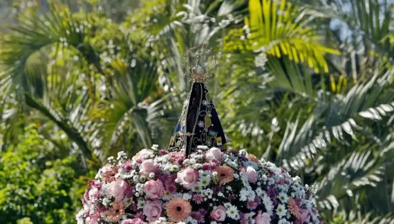 Dia de Nossa Senhora Aparecida: conheça flores para homenagear a santa