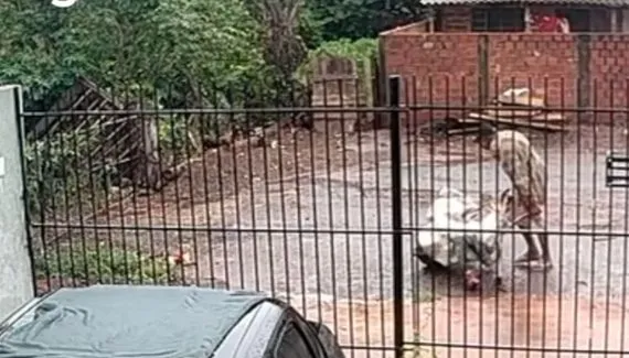 Homem é filmado carregando companheira dentro de saco de cal em carrinho de mão no Paraná