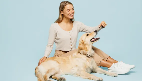 Veja como oferecer petiscos a cães com alergias sem abrir mão dos momentos de carinho