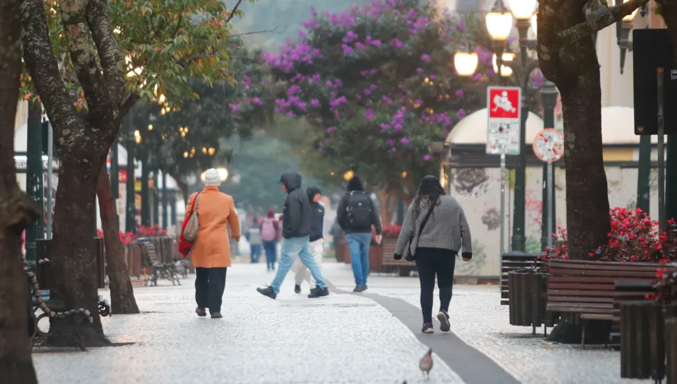 Fotografia em plano geral de pedestres caminhando por um calçadão urbano arborizado durante o dia. Em primeiro plano, o calçadão pavimentado com pedras claras estende-se em direção ao fundo, ladeado por árvores frondosas, bancos de madeira e lixeiras. À esquerda, uma pessoa de casaco laranja longo caminha de costas. À direita, outra pessoa de cabelos escuros e casaco cinza quadriculado afasta-se no mesmo sentido. No plano intermediário, vários pedestres vestindo roupas de frio caminham pelo calçadão. Árvores com flores roxas e postes de iluminação clássicos decoram o espaço público. Ao fundo, edificações urbanas e a vegetação compõem a paisagem sob a luz difusa do dia.