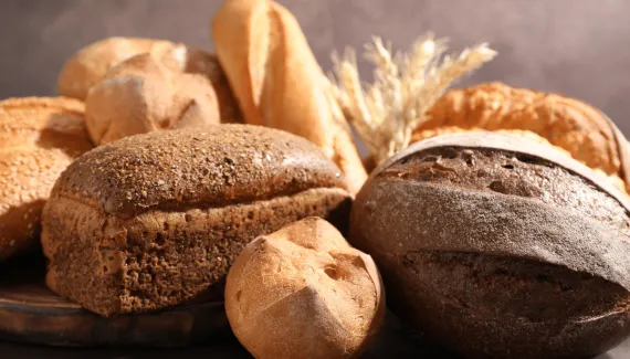 Comer pão todos os dias faz mal? Veja como incluir o alimento na rotina de forma equilibrada