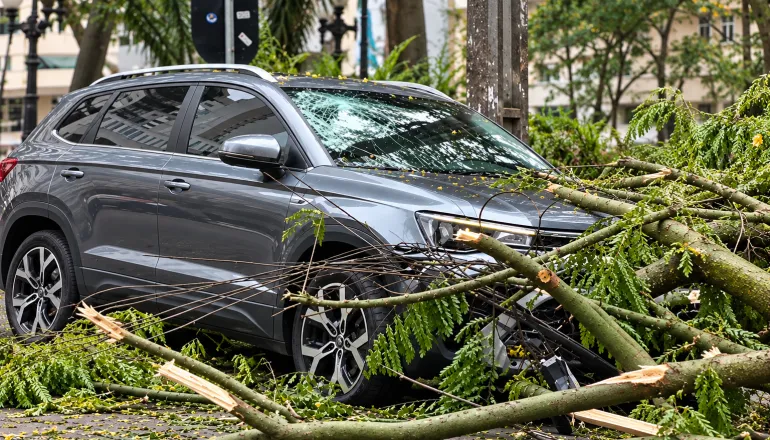 Nova queda de galhos em praça de Curitiba causa estragos, deixa mulher ferida e cancela feira