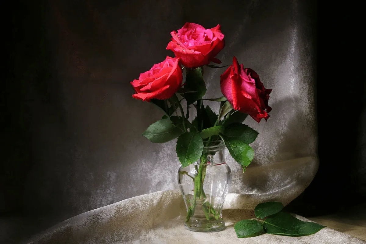 Símbolos ciganos que trazem amor e prosperidade: conheça seus significados e como utilizá-los
