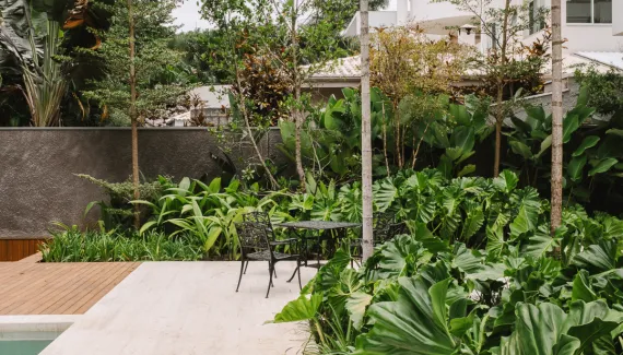 Quer um jardim mais exuberante? Saiba como utilizar filodendros no paisagismo 