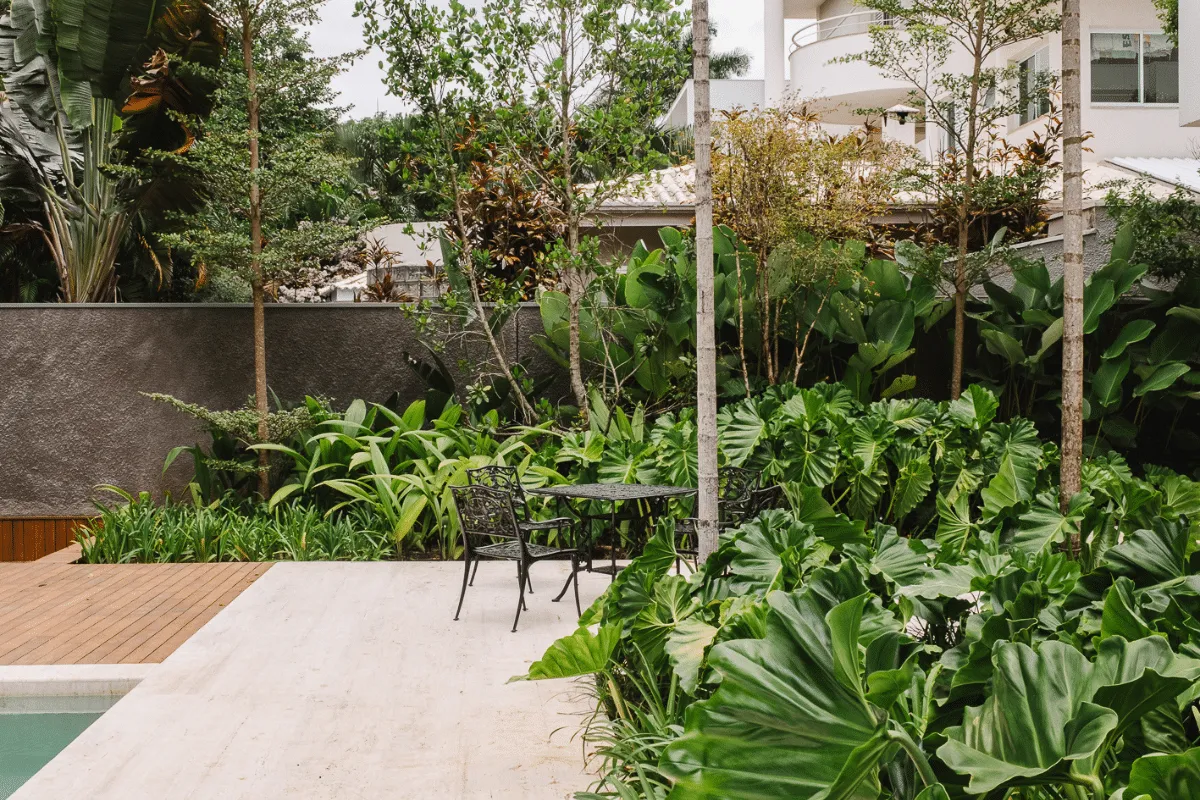 Quer um jardim mais exuberante? Saiba como utilizar filodendros no paisagismo