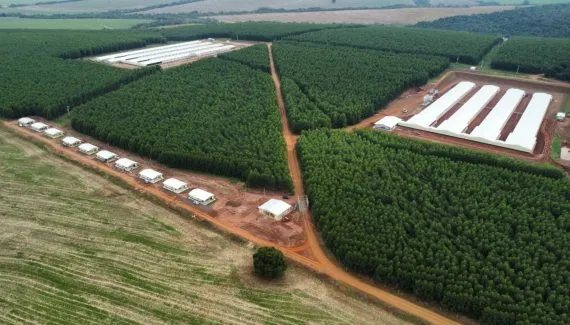 Grupo paranaense investe R$ 215 milhões em complexo avícola no Paraguai