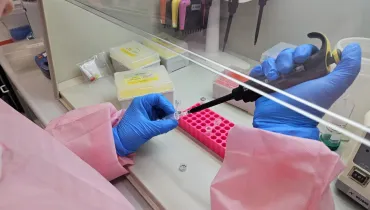 Fotografia em plano aproximado (close-up) de um operador em laboratório realizando um procedimento com micropipeta em uma bancada de fluxo laminar. Em primeiro plano, as mãos do operador, vestindo luvas cirúrgicas azuis e mangas de avental rosa, manuseiam os materiais. A mão direita segura uma micropipeta eletrônica preta com detalhes amarelos, introduzindo a ponteira em um microtubo posicionado em um suporte rosa com cavidades múltiplas. A mão esquerda segura outro pequeno tubo de ensaio transparente. No plano intermediário, a bancada exibe caixas plásticas organizadoras amarelas com ponteiras de pipetagem, pequenos frascos e equipos sob iluminação artificial limpa e direta. Ao fundo, o painel transparente de proteção da cabine de segurança e suportes com pipetas automáticas completam o ambiente técnico de laboratório.