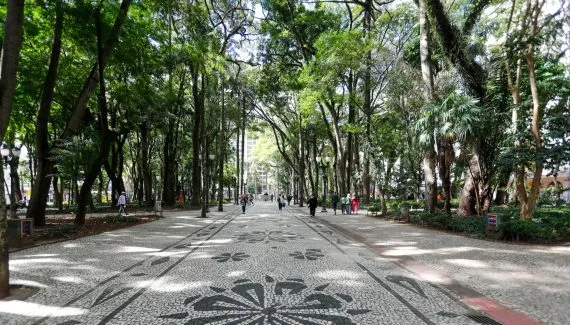 Após novo acidente com árvore, Praça Osório é fechada em Curitiba