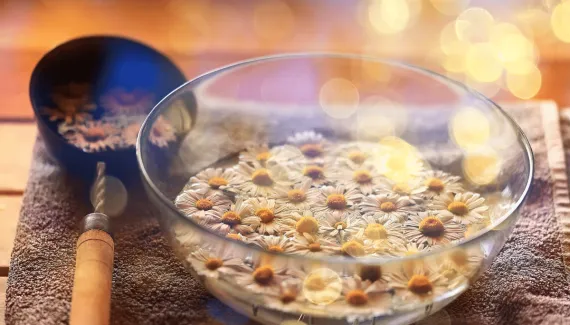 Banho de camomila para a Lua Cheia: aprenda ritual para atrair tranquilidade