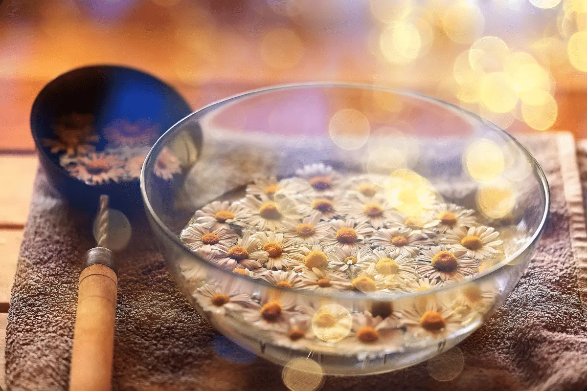 Banho de camomila para a Lua Cheia: aprenda ritual para atrair tranquilidade