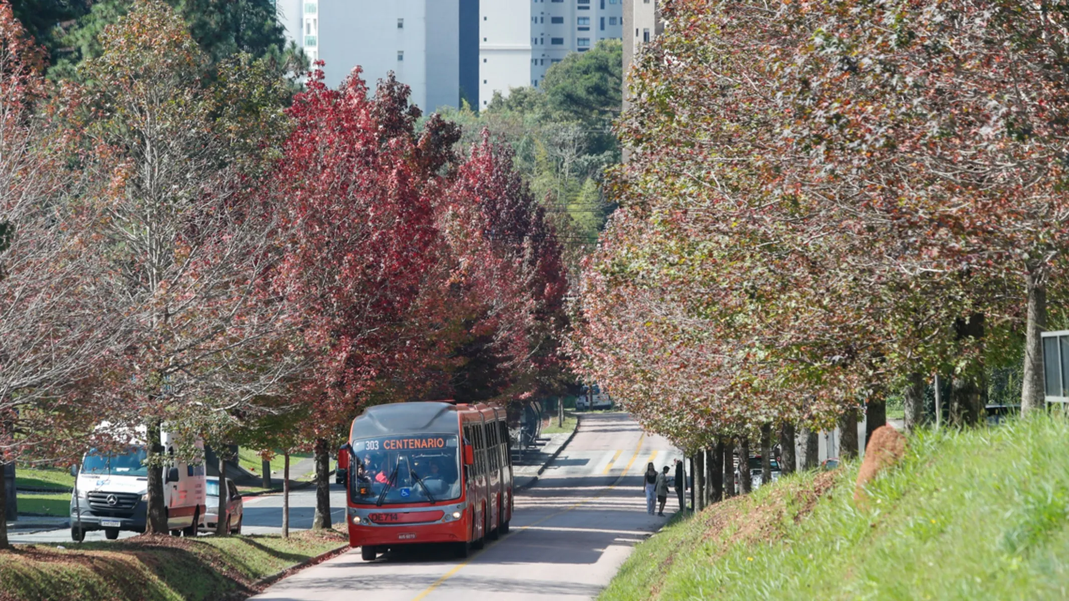 Licitação do transporte de Curitiba é suspensa novamente pelo TCE