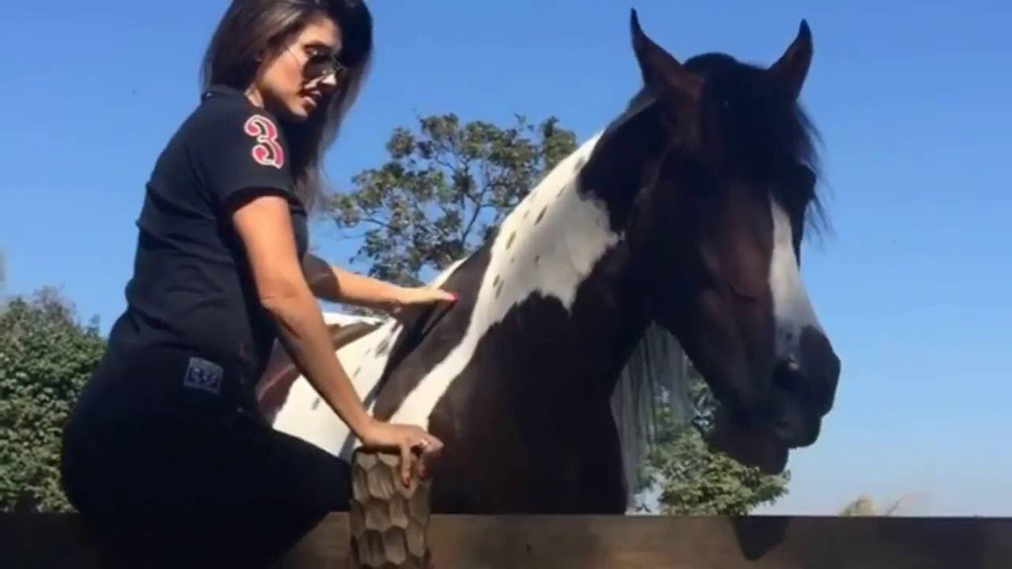Cantora Paula Fernandes leva mordida de um de seus cavalos.